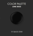 black-star-pigment-2022-icolor