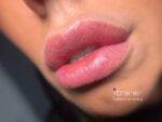 Persian_Pink_1