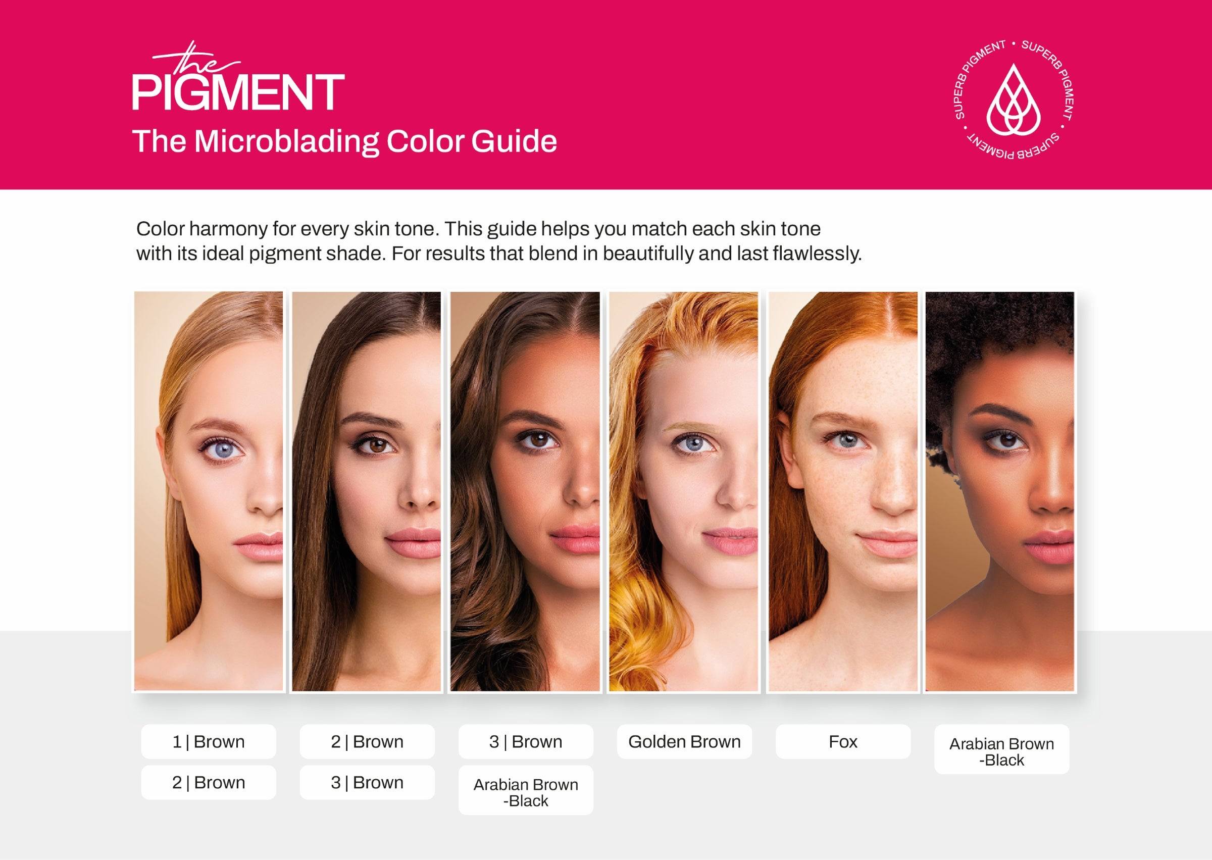 Microblading_COLOR_GUIDE