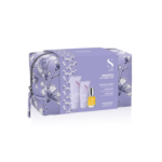 Alfaparf SDL SMOOTH MINI KIT - mini-juuksehoolduskomplekt kahustele juustele